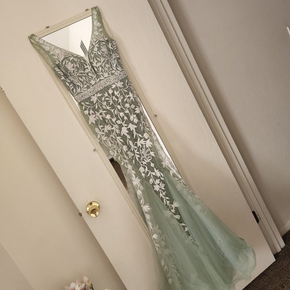 Fashion nova gown